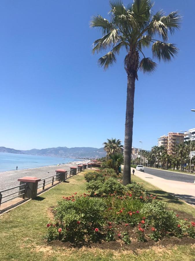Empire Residence Alanya/Mahmutlar 50M От Моря מראה חיצוני תמונה